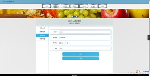 農(nóng)產(chǎn)品銷(xiāo)售系統(tǒng) 設(shè)計(jì)、實(shí)現(xiàn)與計(jì)算機(jī)系統(tǒng)服務(wù)集成